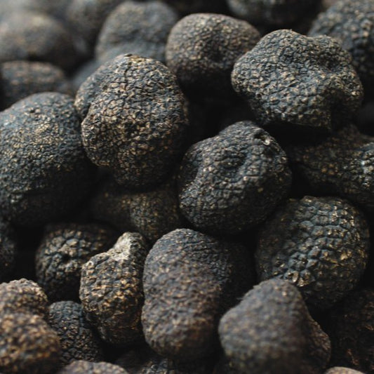 Trufe negre de vara ( Tuber Aestivum )