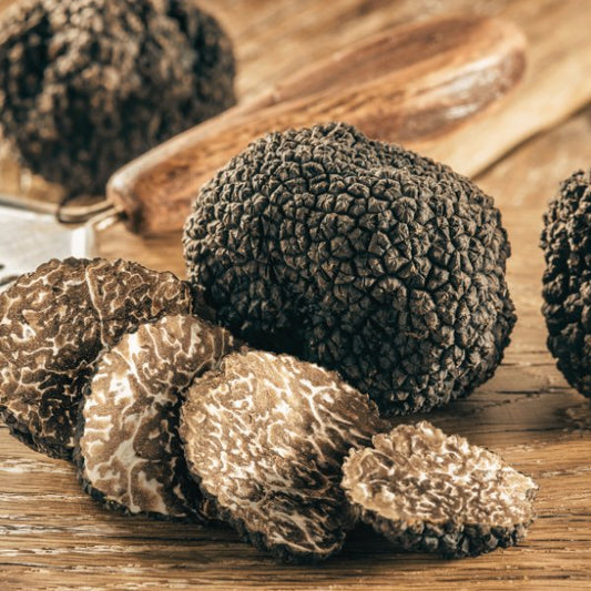 Trufe negre de toamna (Tuber Uncinatum)